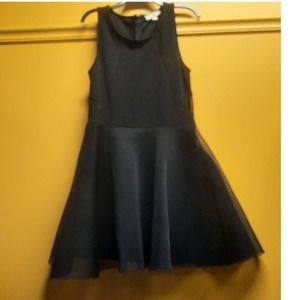 Nicki Minja Black Sleeveless Fit and Flare Mesh Overlay dress Large
